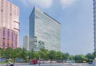 基地绿植花卉租赁供应商