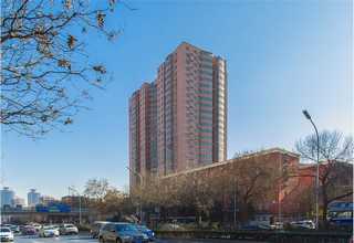 电池胶黏剂特征